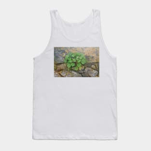 Life on an old stone wall Tank Top